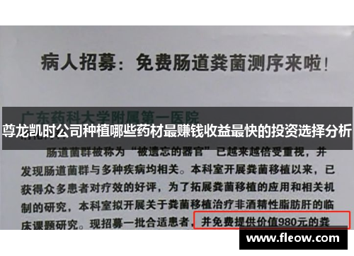 尊龙凯时公司种植哪些药材最赚钱收益最快的投资选择分析